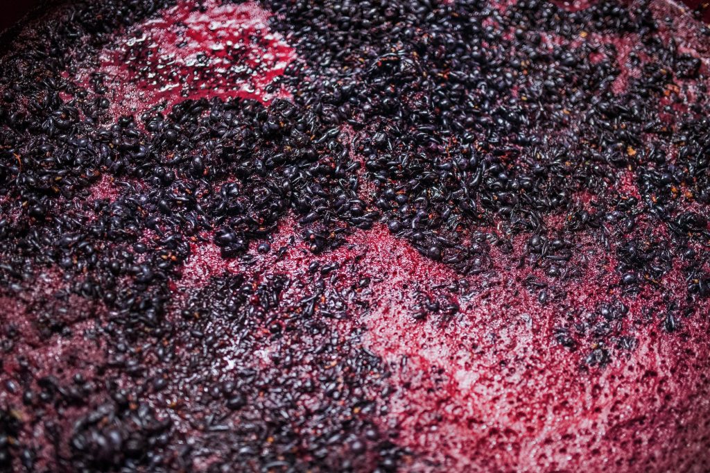 Fermentation of grape must, winemaking concept. Top view